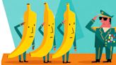 ‘Banana Republic’: A Label That Every Country Wants to Avoid