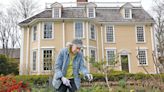 Gardens have history, too. Meet the woman behind the Dorothy Quincy Homestead roses.