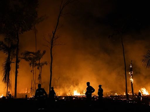 Parlamento Andino declara en emergencia la Amazonía: Perú es el tercer país de la región con la mayor pérdida de bosque