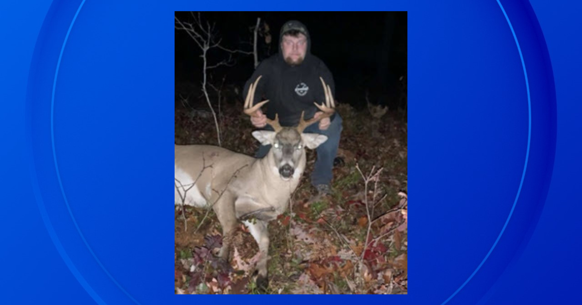 Michigan men illegally shot 6 deer, inhumanely killed porcupine, prosecutors say