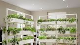 IKEA just launched the ultimate versatile piece of furniture that uses plants to divide up a room