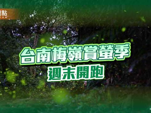 品觀點｜台南梅嶺賞螢季開跑！市集、音樂會週六登場 - 生活