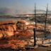 Mammoth Hot Springs