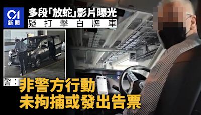 有片︱網上瘋傳「放蛇」打擊白牌車 警：不是警方行動 現正調查