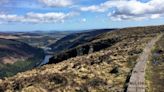 Wicklow Mountains National Park to host talks on hiking, crows and orchids