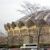 WVU Coliseum