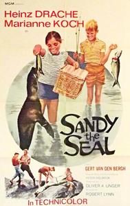 Sandy the Seal