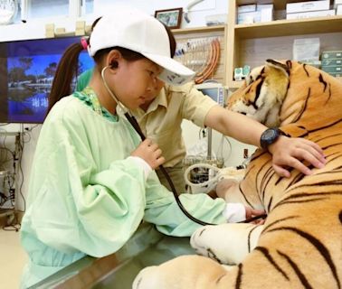 關西六福莊「小小獸醫實習營」讓孩童體驗動物園獸醫實習 | 蕃新聞
