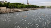 Paris mayor is confident that water quality will allow Olympic swimming in the River Seine