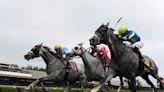 The Grey Wizard Nails Three-Horse Photo In Belmont Gold Cup