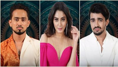 Bigg Boss OTT 3 Week 4 Voting Process: How To Save Adnaan, Sana, Vishal And Other 4 Contestants From Eviction?