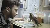 ‘All That Breathes,’ Stirring Film On Humans And Birds, Snares Best Feature at 38th IDA Documentary Awards