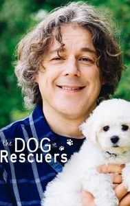 The Dog Rescuers