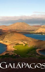 Galapagos