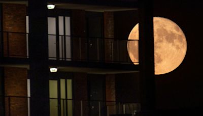 June skygazing highlights: Strawberry Moon, summertime planet parade