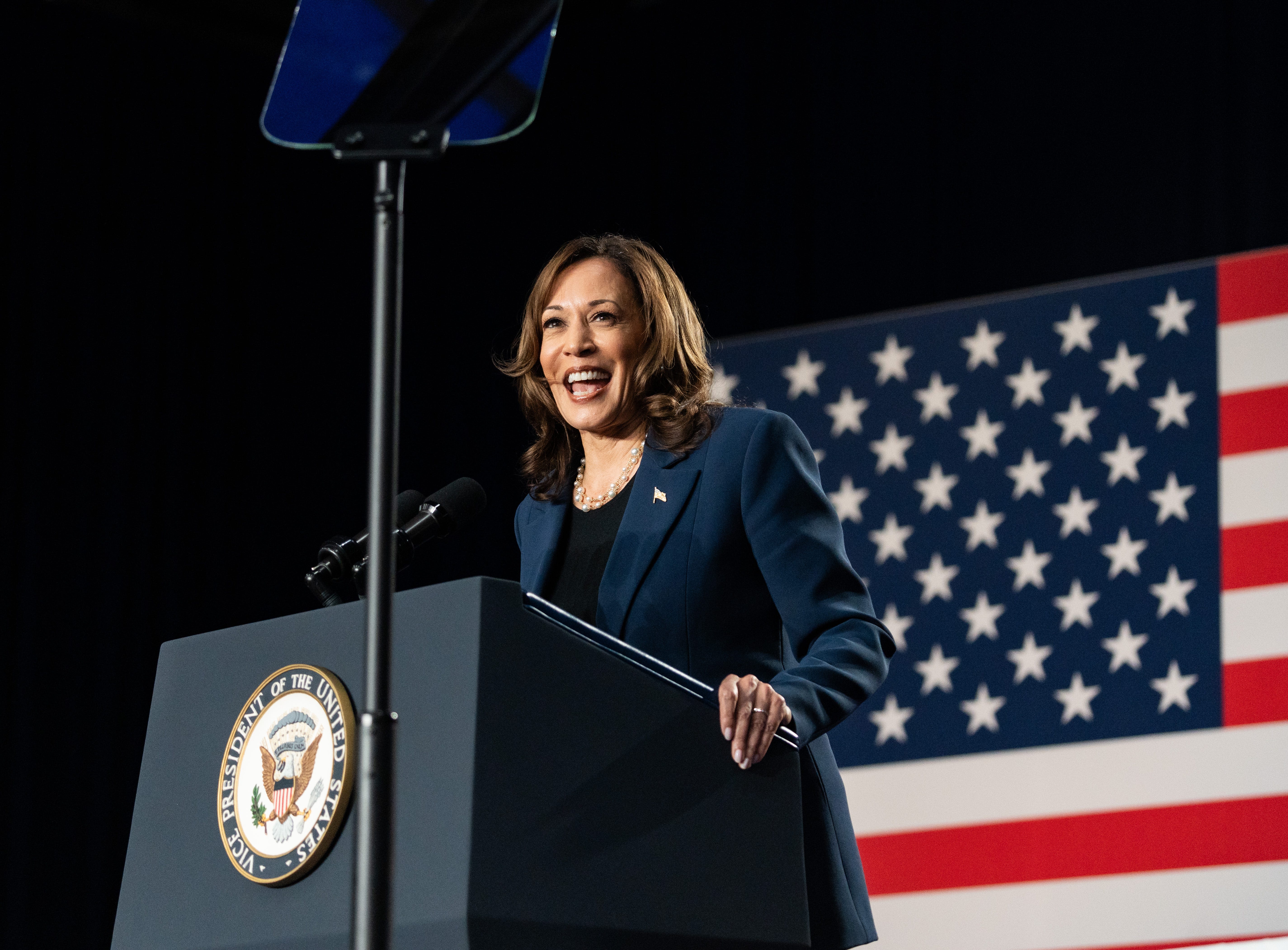 What to know about Kamala Harris, coconut trees and 'Brat Summer'