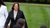 Fortalezas y debilidades de Kamala Harris como posible candidata presidencial demócrata