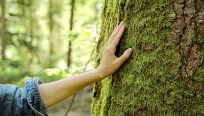 Santé : voici le nombre de vies sauvées en France l’année dernière grâce aux espaces verts présents en ville