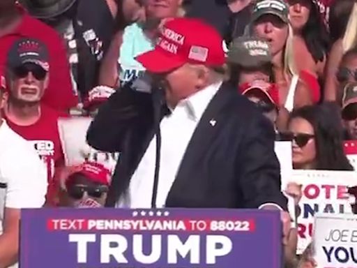 Donald Trump Shot and Injured at Pennsylvania Rally