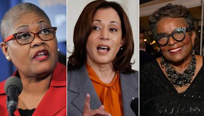 'F--- the White women': Black activists tied to VP Harris could derail Dem 'unity' message with past rhetoric