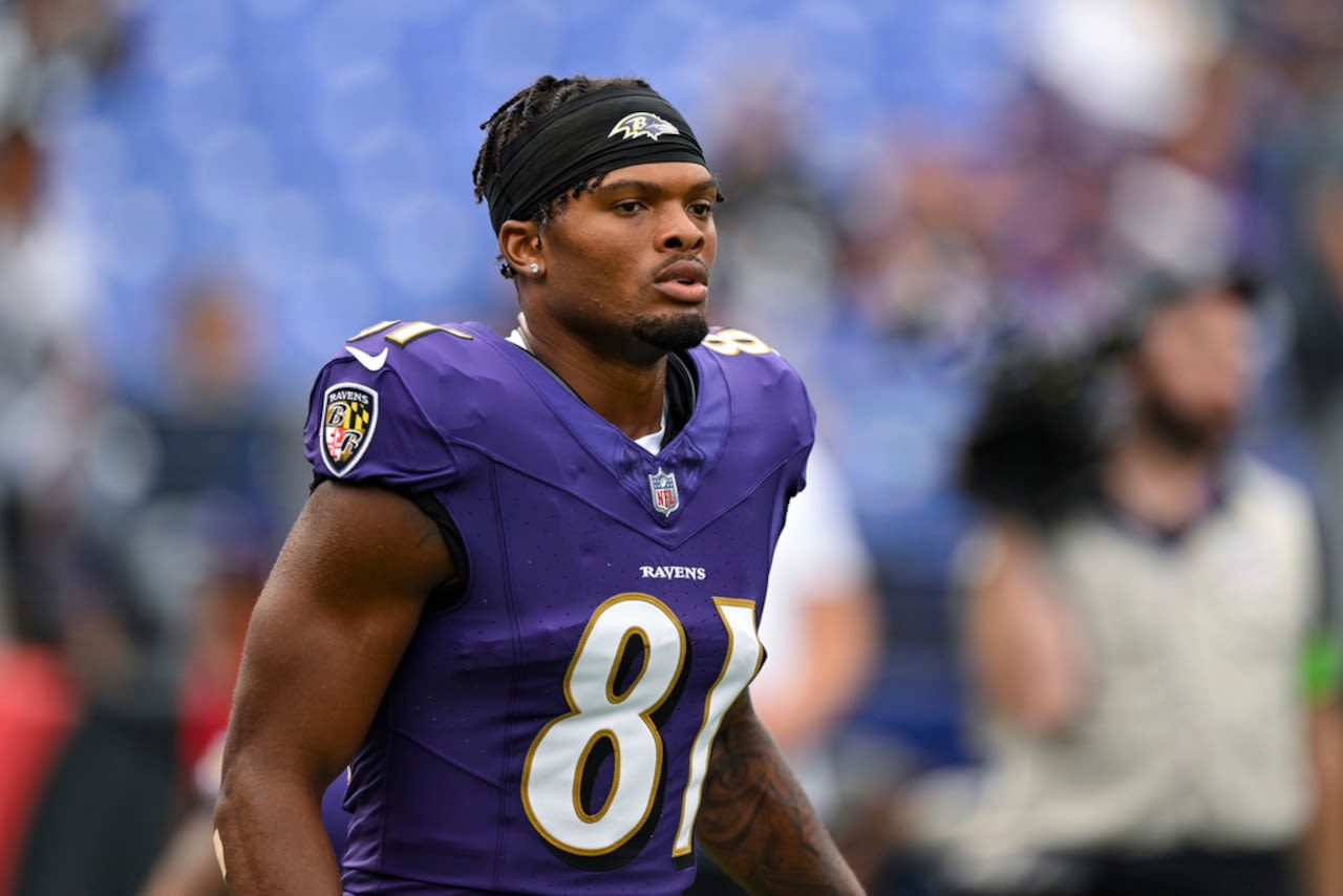 Steelers sign ex-Ravens WR after Roman Wilson suffers injury