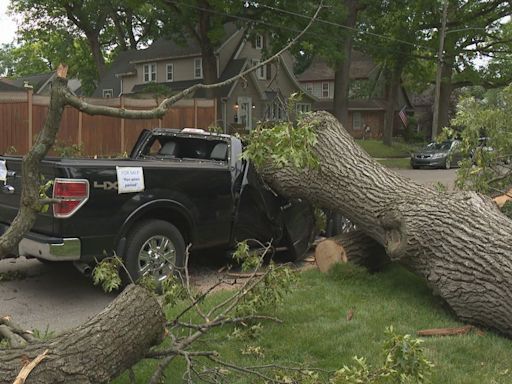 Grand Rapids man jokingly puts truck smashed by fallen tree up 'for sale'