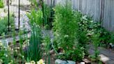 Gardening for You: Foodscaping American Cottage Gardens