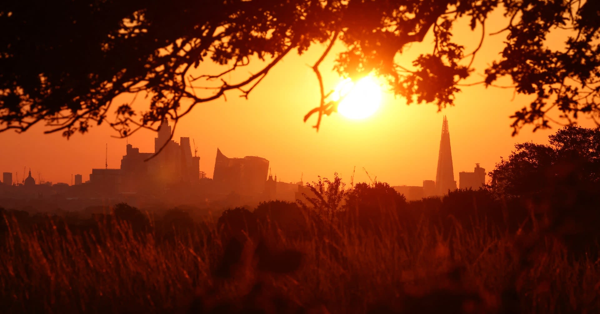 Nature loss could slow UK growth 12% by the 2030s, report says