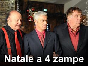 Natale a 4 zampe