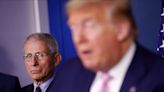 Dr. Anthony Fauci says he had a 'bad feeling' before the White House briefing where Trump floated using disinfectants to treat COVID-19