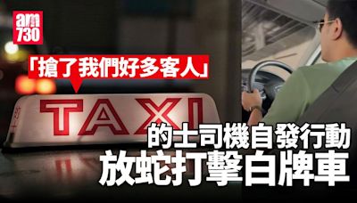 的士司機自發放蛇打擊白牌車 周國強稱不建議 籲業界克制 (有片) | am730