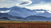 Argentina harvest 2024: Another unusual year, but excellent quality - Decanter