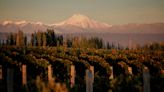 South American Wines Now Rival the Best Napa Vintages. Here Are 3 to Start With.