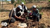 O voluntário que salva uma floresta da seca na Líbia – DW – 26/06/2024