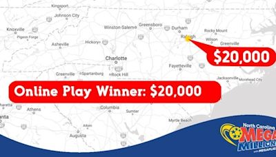 Mega Millions ticket sold at Raleigh Food Lion wins $20,000