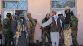 Violent poppy clearing sparks backlash in northeastern Afghanistan