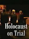 The Holocaust on Trial