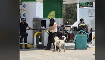 Mujer enloquece en gasolinera de Edomex; amenaza de muerte a trabajadores