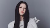 韓星羽絨衣穿搭範本：參考韓韶禧、Jennie、張員瑛、秀智…的羽絨衣穿搭