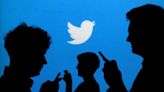 Exclusive-Twitter reshuffles 'health' team amid spam bot debate