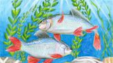 Texas Fish Art Contest unveils 2024 winners