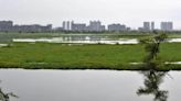 From oasis to forsaken: Where did Delhi’s water bodies go?