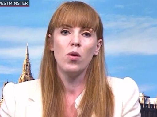 Angela Rayner leaves BBC Breakfast viewers 'switching off' as they rage 'enough'