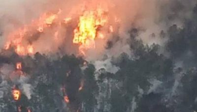 Incendio forestal en Tetela de Ocampo se reporta fuera de control