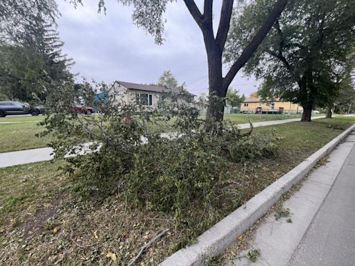 Hydro working restore power knocked out by powerful winds