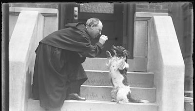 A pawsitively adorable exhibit about NYC's pets is coming to New-York Historical Society