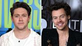Why Niall Horan's Fans Think His New Album Will Feature Harry Styles Collab