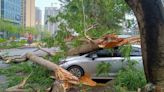 Al menos cuatro muertos por lluvias torrenciales en el sur de China