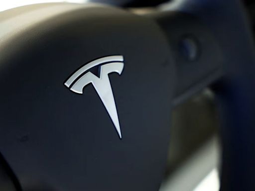 State governments across India are trying to lure Tesla's local suppliers to set up factories
