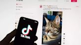 Russia fines Google, TikTok over banned content - ET LegalWorld